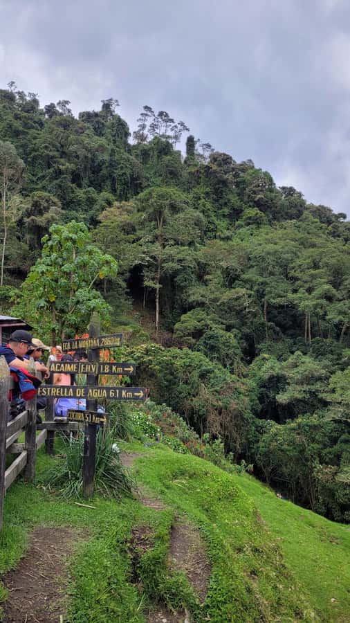 Cocora Valley: Route of the Hummingbirds + breakfast & lunch - Six Bridges to a Hummingbird House for Real Close-Up Birding