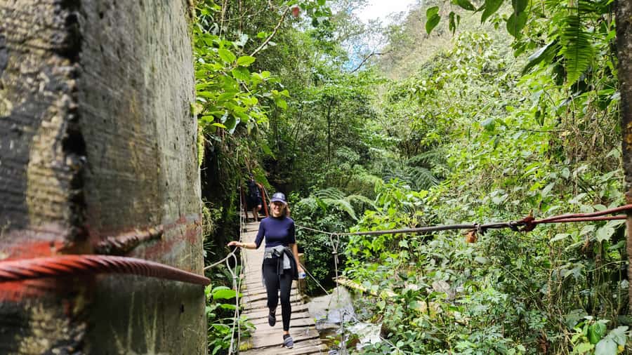 Cocora Valley: Route of the Hummingbirds + breakfast & lunch - Morrogacho Panoramic Picnic, Then Birding in the Palm Shade