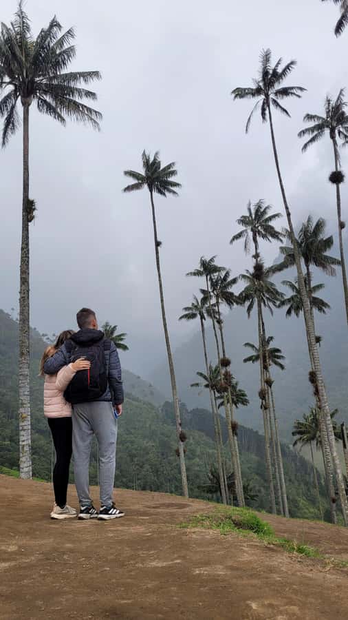 Cocora Valley: Route of the Hummingbirds + breakfast & lunch - Price and Value: Is $129 a Smart Use of Your Colombia Time?