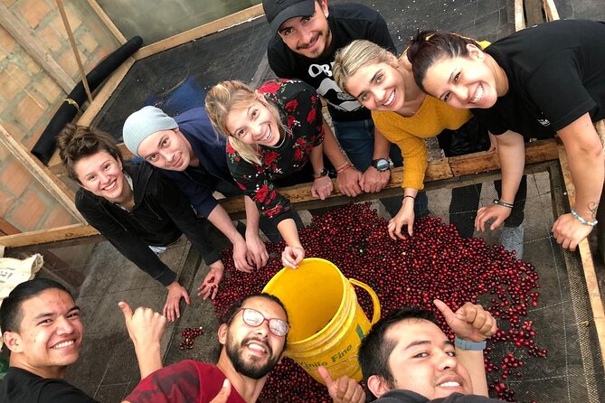 Cocora Valley, Salento and Coffee Farm Day Tour - Key things that make this tour worth your time