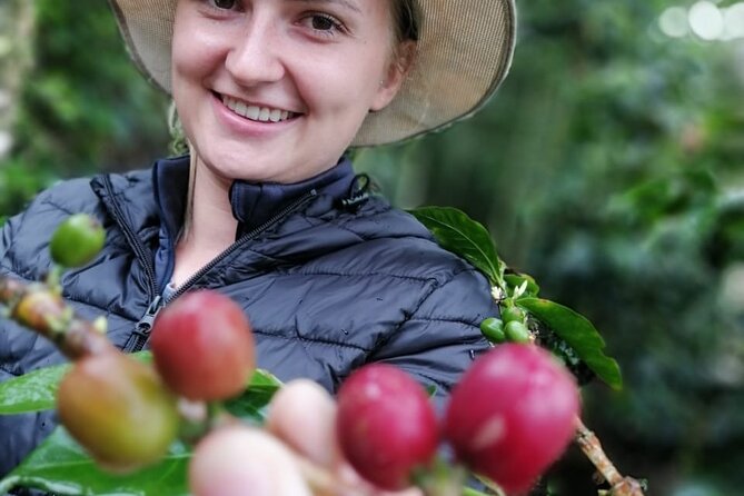 Cocora Valley, Salento and Coffee Farm Day Tour - Cocora Valley and Salento, Coffee Triangle highlights in one smooth day