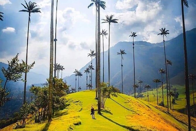 Cocora Valley, Salento and Coffee Farm Day Tour - Lunch and shopping: plan your budget so you do not feel stuck