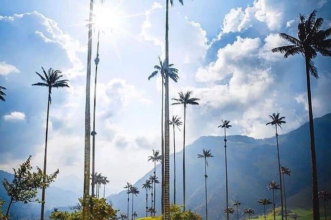 Cocora Valley, Salento and Coffee Farm Day Tour - Guide quality and the personal touch (Angela and Nicolai examples)