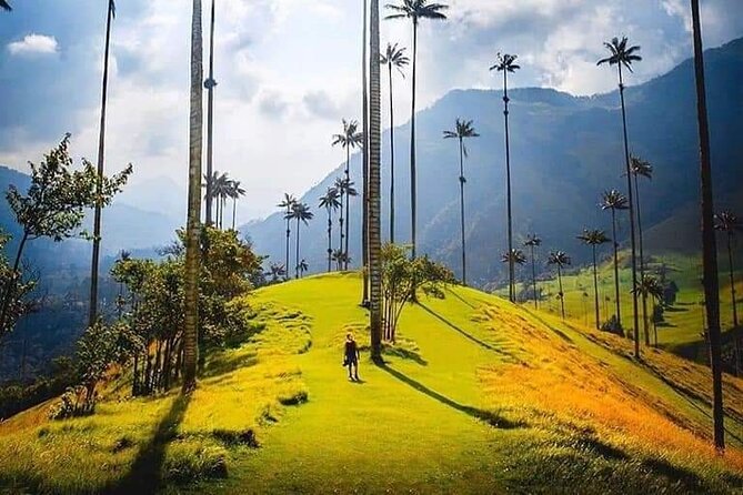 Cocora Valley, Salento and Coffee Farm Day Tour - Salento and Cocora Valley as one connected day