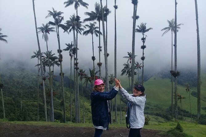 Cocora Valley, Salento and Filandia Full-Day Private Tour - A realistic heads-up on organization and car comfort