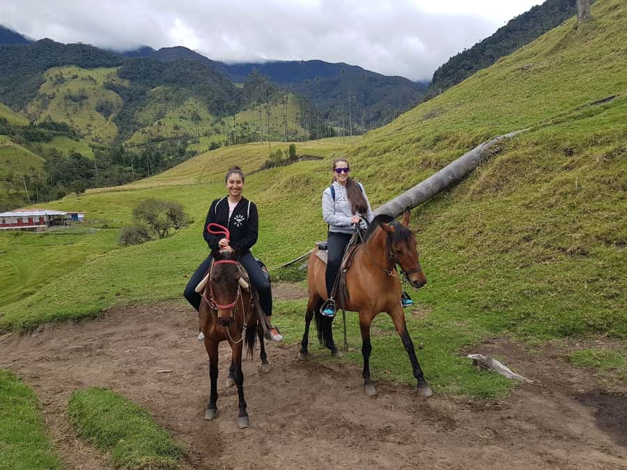 Cocora Valley: Salento & Private Horseback Riding Tour - Why This Cocora Valley Adventure Feels Different From a Standard Tour