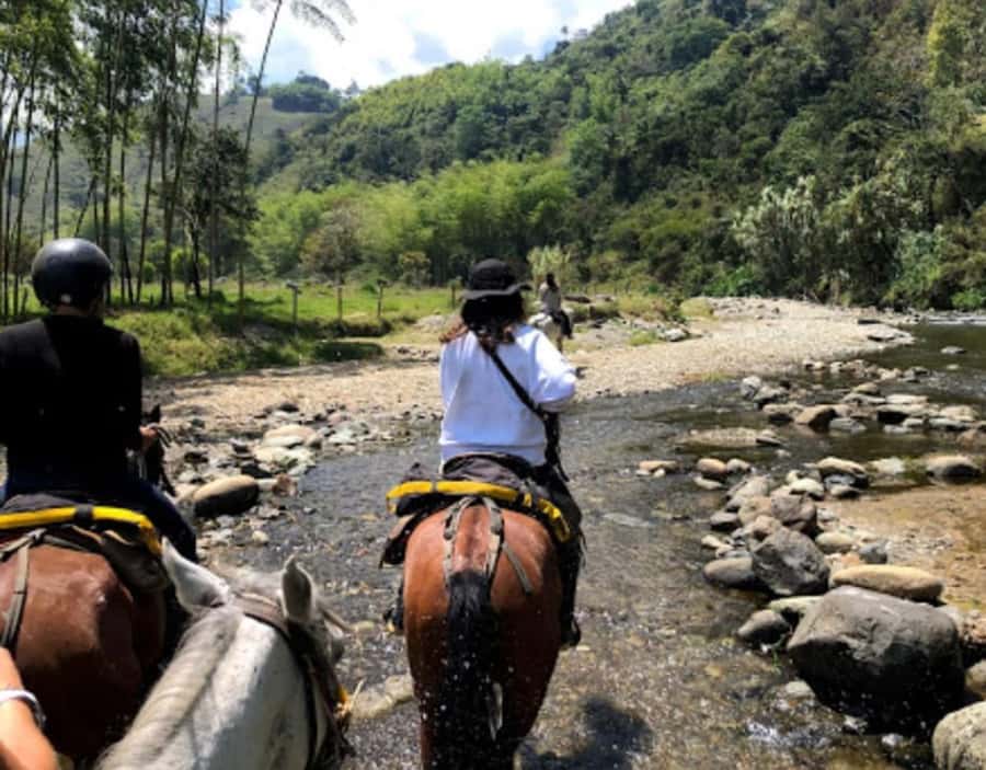 Cocora Valley: Salento & Private Horseback Riding Tour - Horseback Riding Starts in Salento, Not Cocora Valley