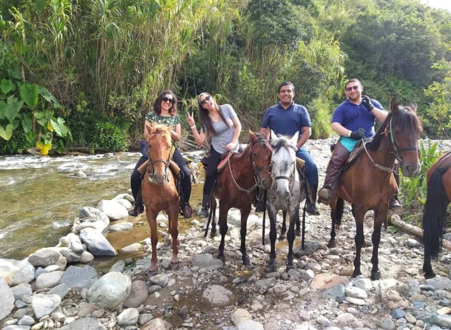 Cocora Valley: Salento & Private Horseback Riding Tour - Cocora Valley: Wax Palms, Photo Stops, and a Guided Walk