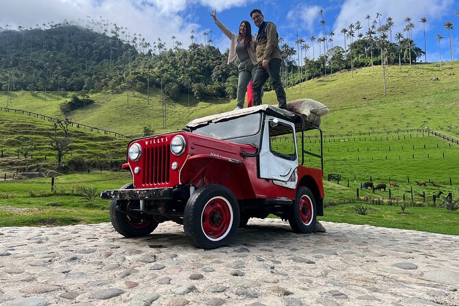 Cocora Valley Shared Tour - Salento to Cocora Valley: the easy win of guided timing