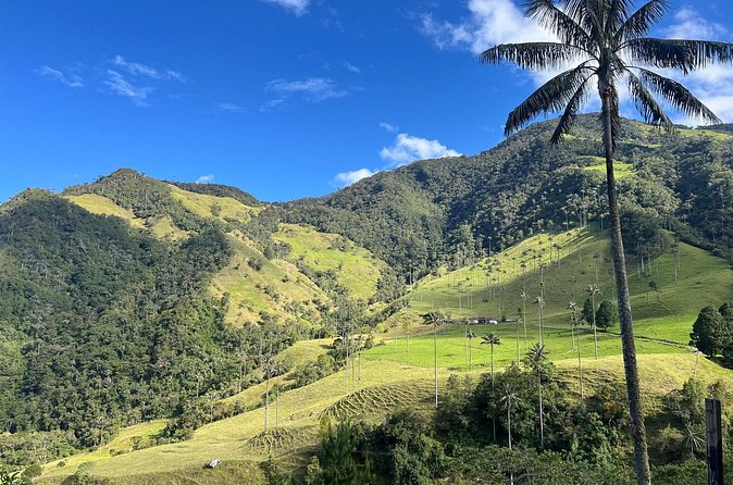 Cocora Valley Shared Tour - Stop 3 back in Salento: finish without hassle