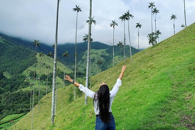 Cocora Valley Tour and Santa Rita Waterfall - Optional 30-minute horseback ride: short, scenic, and not too far