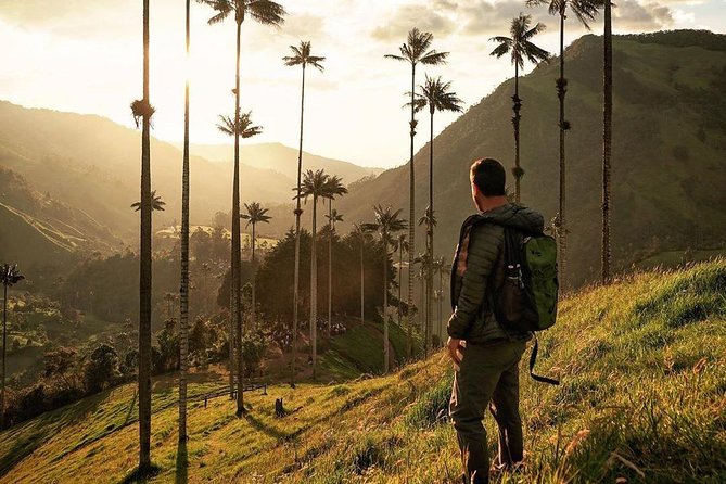 Cocora Valley Tour and Santa Rita Waterfall - Salento lunch break: what’s included, and what to order if you have options