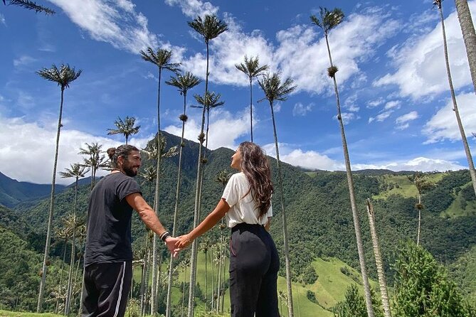 Cocora Valley Tour and Santa Rita Waterfall - Valle del Cocora: three hours of wax palms, viewpoints, and valley atmosphere