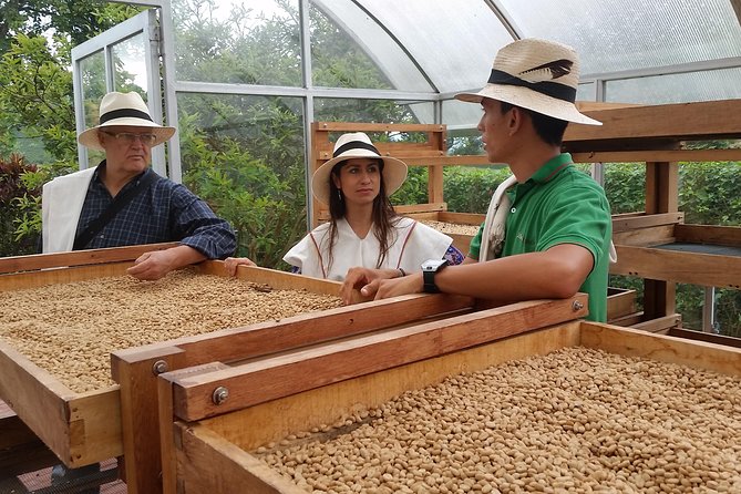 Coffee and Culture in Santa Rosa de Cabal - What You’re Paying For in This Pereira to Santa Rosa Trip