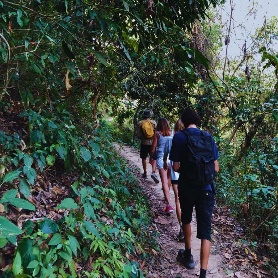 Coffee, Cocoa and Trekking Tour in Minca: Nature, Crops and Production - Who This Tour Suits Best, and Who Should Skip It