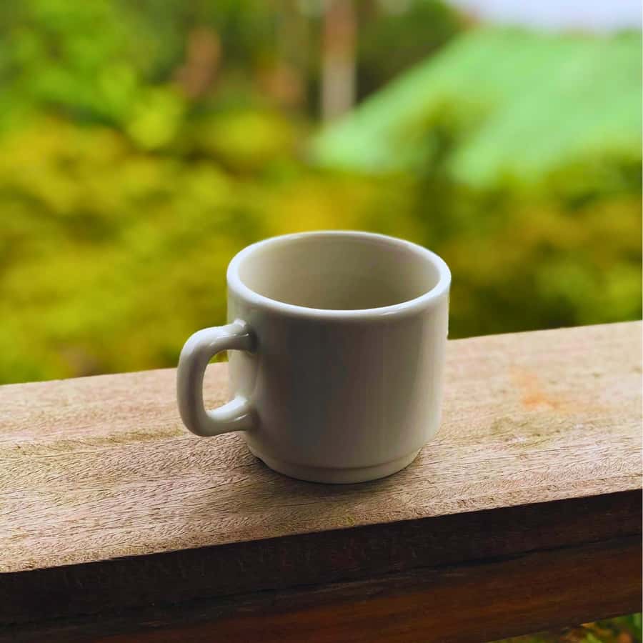 Coffee, Cocoa and Trekking Tour in Minca: Nature, Crops and Production - Minca Park Trails: Native Plants, Rivers, and Big Views