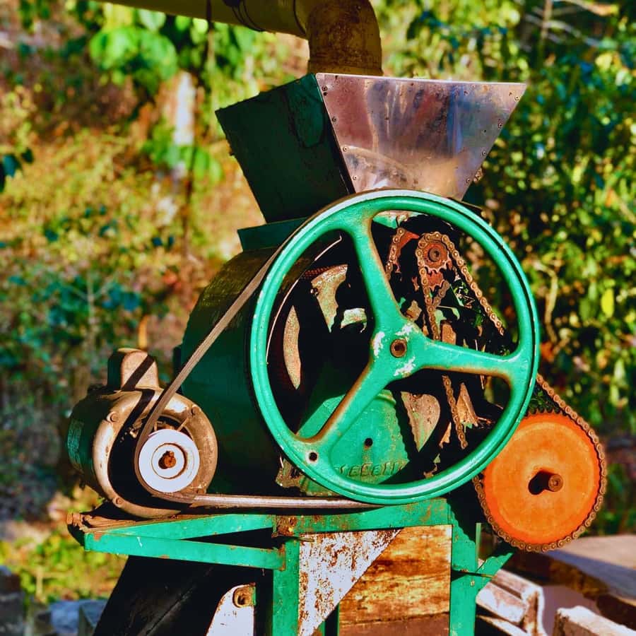 Coffee, Cocoa and Trekking Tour in Minca: Nature, Crops and Production - Coffee and Cocoa Production, Explained From Start to Finish