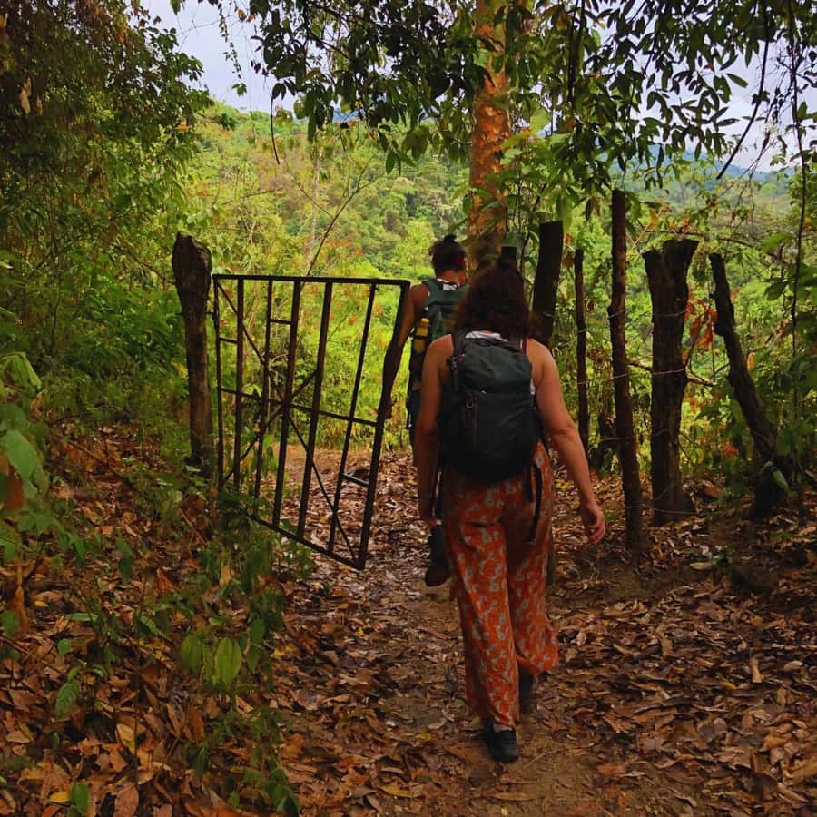 Coffee, Cocoa and Trekking Tour in Minca: Nature, Crops and Production - Timing, Pace, and What 4.5 Hours Feels Like