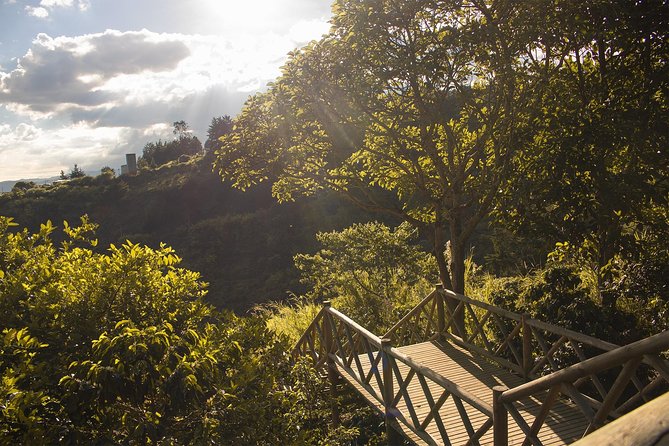 Coffee Experience from bean to cup - Why This Coffee Farm Trip Works When You Are Short on Time