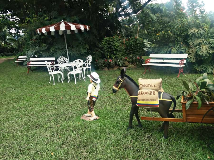 Coffee Experience: Hacienda Coloma Tour from Bogotá - Bogotá to Fusagasugá: why this coffee day trip feels like a reset