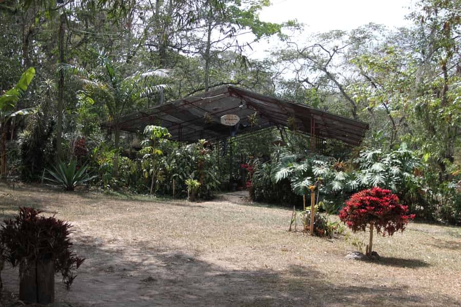 Coffee Experience: Hacienda Coloma Tour from Bogotá - A realistic 8-hour plan: pickup, 2.25 hours at the hacienda, then back to Bogotá