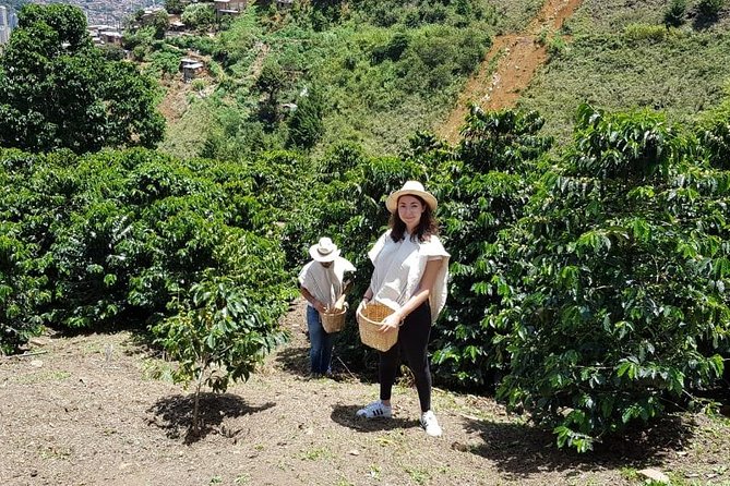 Coffee Experience - A Medellín coffee farm day that makes the cup make sense