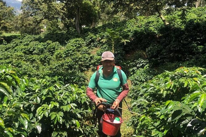 Coffee Express Tour Medellin - Why this Coffee Express day trip from Medellín makes sense