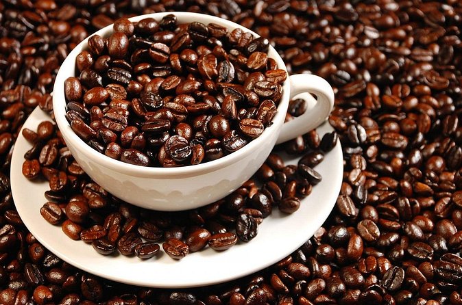 Coffee Express Tour Medellin - Stop 1 on the Copacabana mountains: the plantation and the coffee process