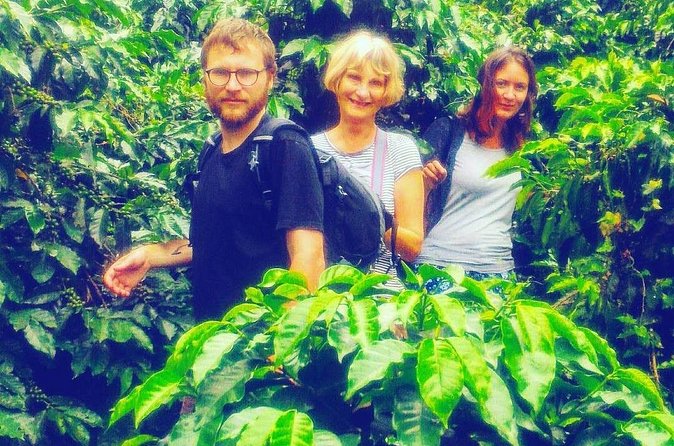 Coffee Express Tour Medellin - Stop 2 in Medellín: a specialized Colombian coffee shop for preparation ideas