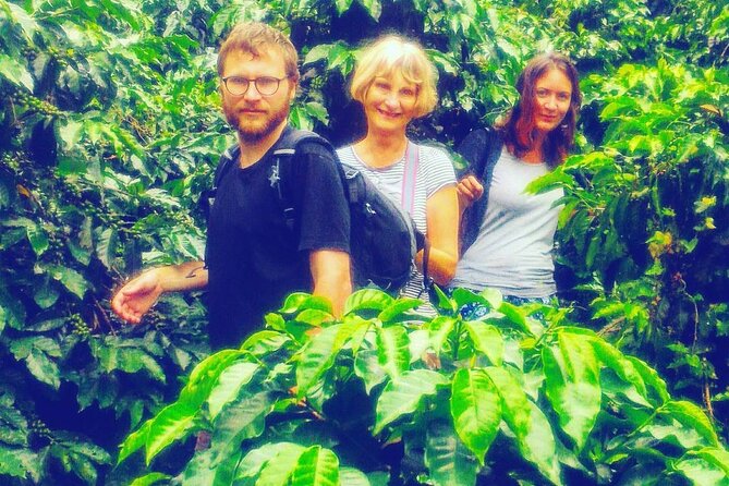 Coffee Express Tour Medellin - The 6-hour flow: what the timing feels like in real life