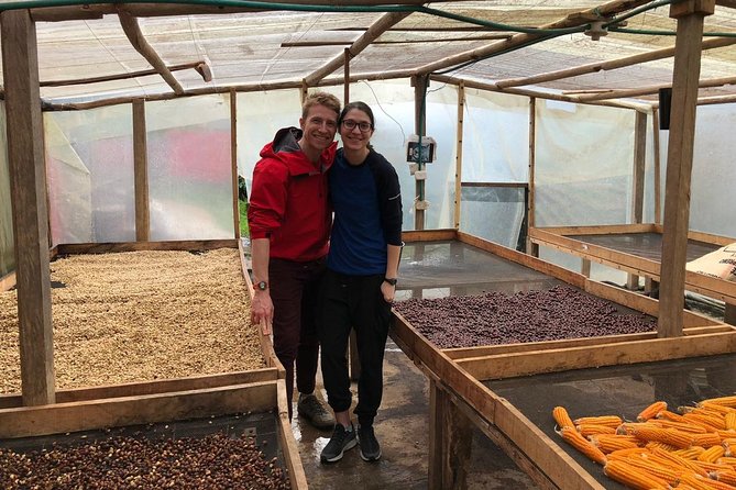 Coffee Farm and Salento Walking Tour - Who should book this tour, and who might want a different style