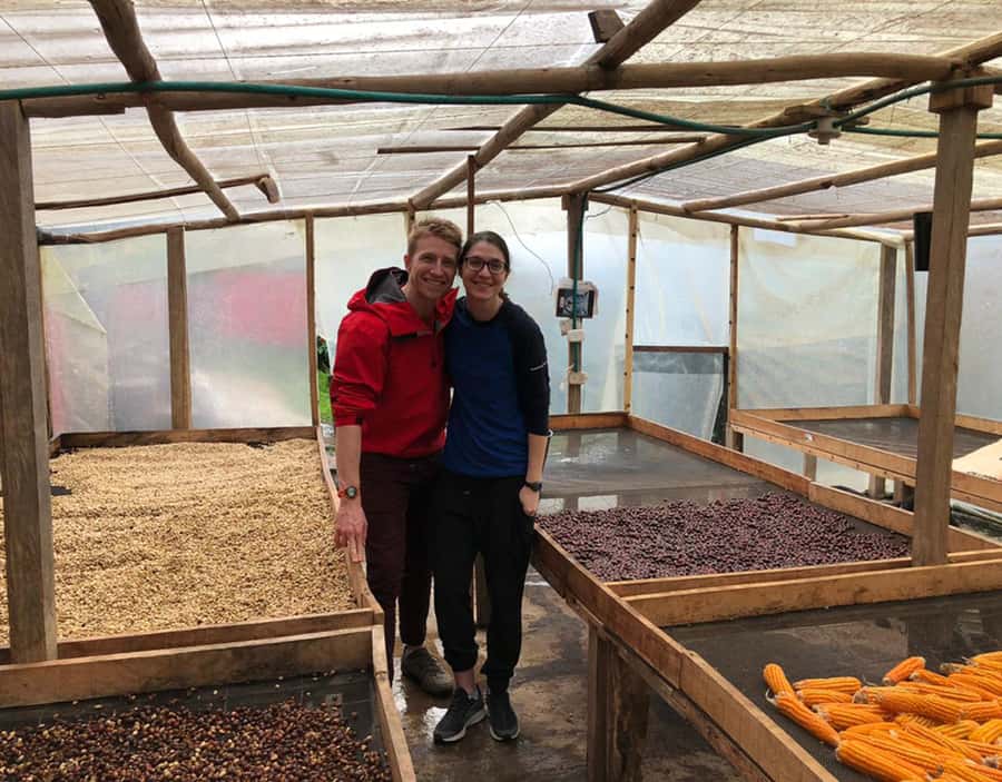 Coffee Farm and Salento Walking Tour - Price and Value: Is $93 a Smart Half-Day Investment?
