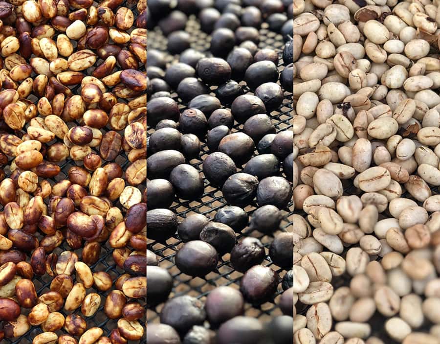 Coffee Farm and Salento Walking Tour - Who This Tour Is Best For (and Who Might Skip It)