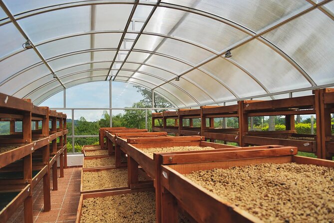 Coffee Farm and Santa Rosa Hot Springs Tour from Pereira or Armenia - Key Highlights You Should Know