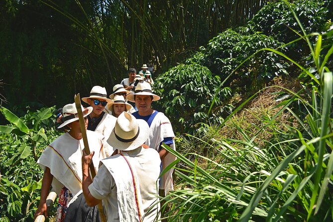 Coffee Farm and Santa Rosa Hot Springs Tour from Pereira or Armenia - Stop 2 at Termales Santa Rosa de Cabal: The Real Purpose of the Day