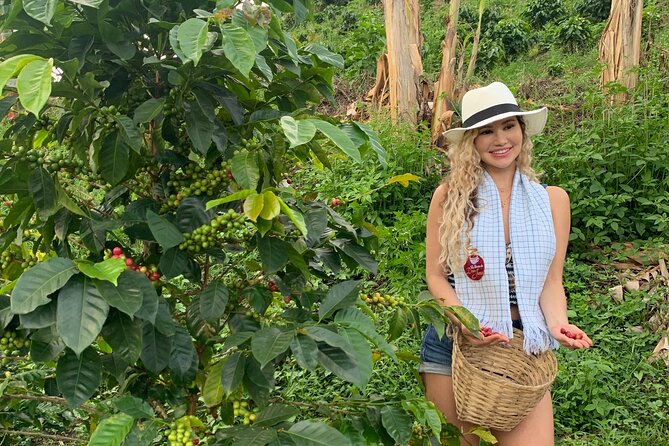 Coffee Farm and Santa Rosa Hot Springs Tour from Pereira or Armenia - Stop 1 at Tour Del Cafe, Finca Del Cafe: Coffee That Goes Beyond Souvenirs