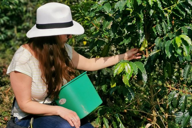 Coffee Farm & ATVs Private Tour in Medellin: Stunning Views & Fun - Key things that make this tour worth your time