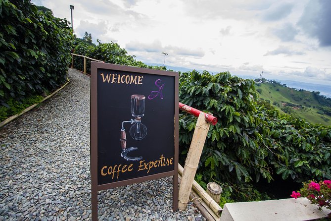Coffee Farm Experience at Hacienda San Alberto from Salento - Getting there: timing, pickup, and how to plan your morning