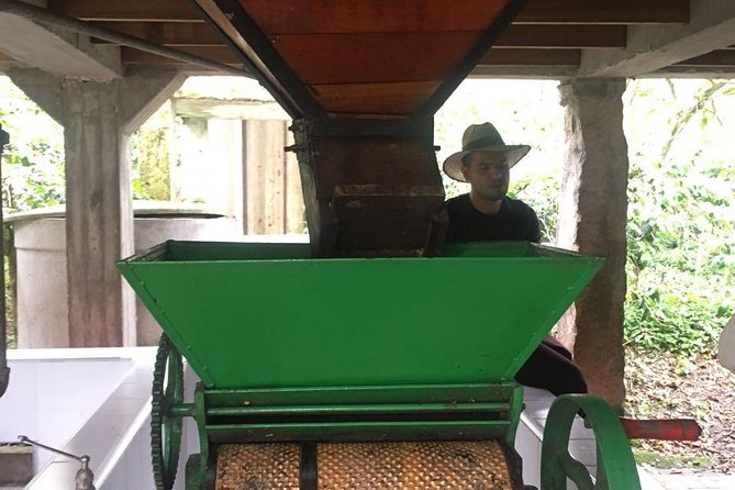 Coffee Farm Experience Private Day Tour - Entering Hacienda Coloma: gardens, chickens, and the farm pace