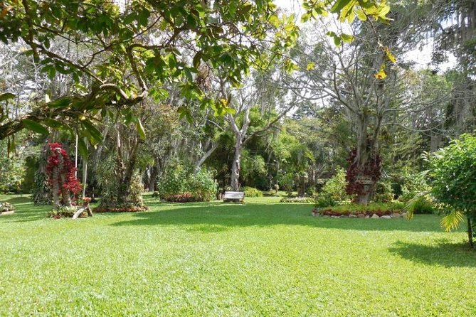 Coffee Farm Experience Private Day Tour - The coffee-making story you’ll actually understand