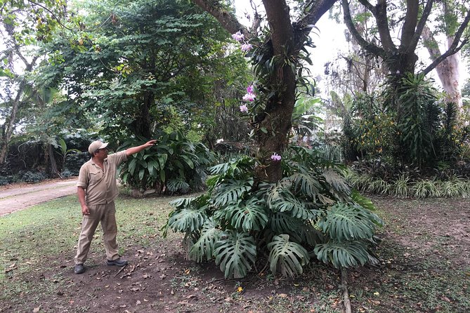 Coffee Farm Experience Private Day Tour - Coffee tasting and coffee liquor tasting: the payoff part