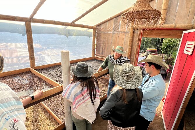 Coffee Farm Shared Tour from Salento - Coffee Tour Luger: the hands-on parts that make it stick
