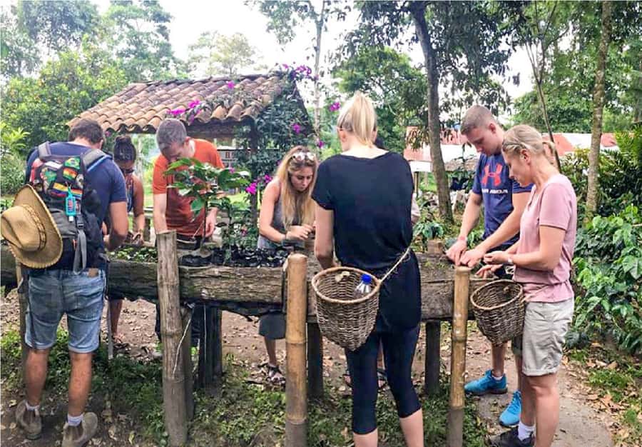 Coffee Farm Tour at Finca El Ocaso from Salento - Key highlights you will care about