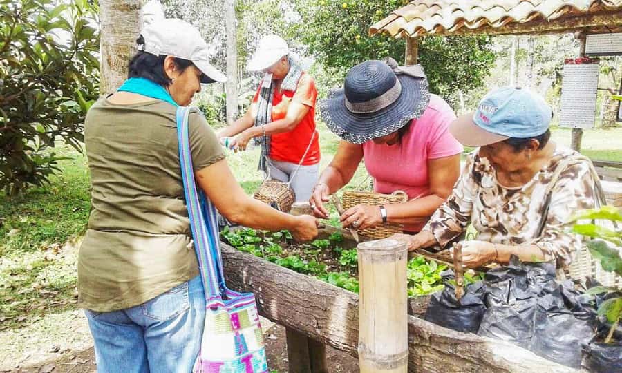 Coffee Farm Tour at Finca El Ocaso from Salento - The tasting session: learning flavors and how brewing changes them