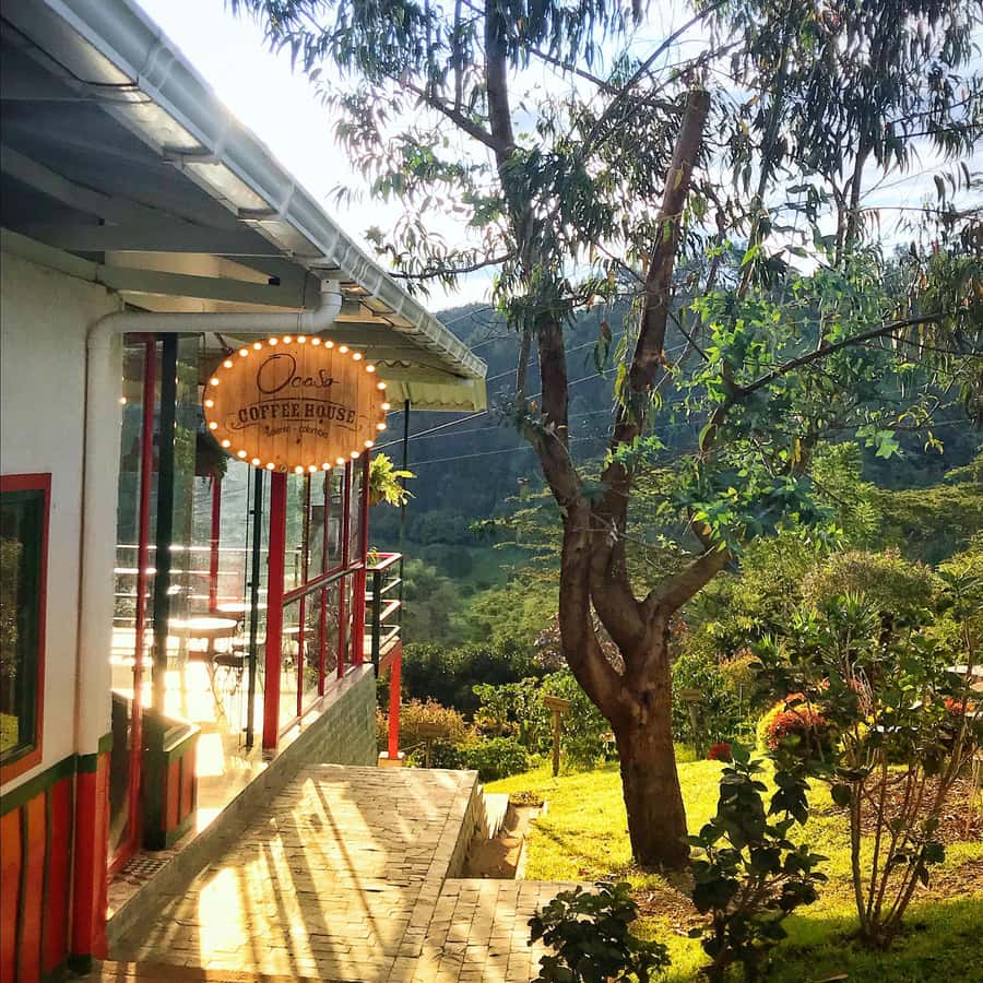 Coffee Farm Tour at Finca El Ocaso from Salento - Duration, small group energy, and how to plan your day
