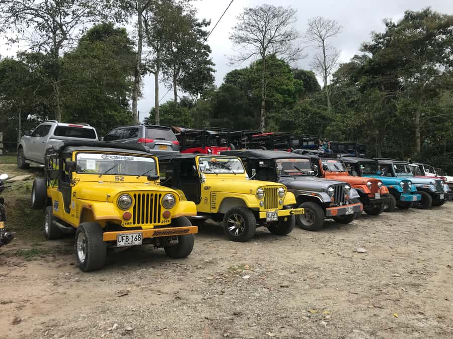 Coffee Farm Tour at Finca El Ocaso from Salento - What to bring and what to know before you go