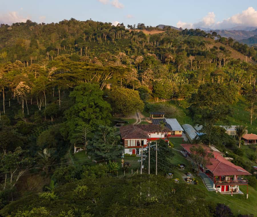 Coffee Farm Tour at Finca El Ocaso from Salento - Who this coffee farm tour is perfect for