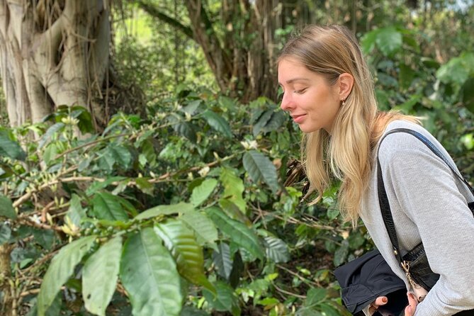 Coffee Farm Tour from Bogotá - Be a Farmer for a Day - Key Points You Should Know Before You Go