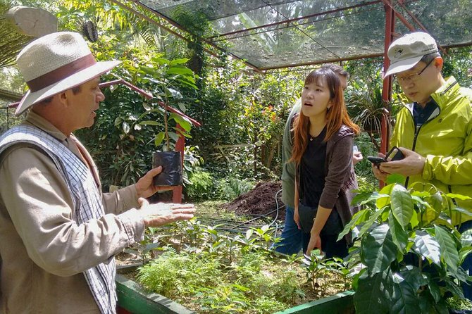 Coffee Plantation Tour From Bogota - Private Pickup and an 8 AM Start You Can Plan Around