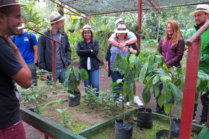 Coffee Plantation Tour From Bogota - Coffee Testing, Lunch, and Fruit Market Snacks